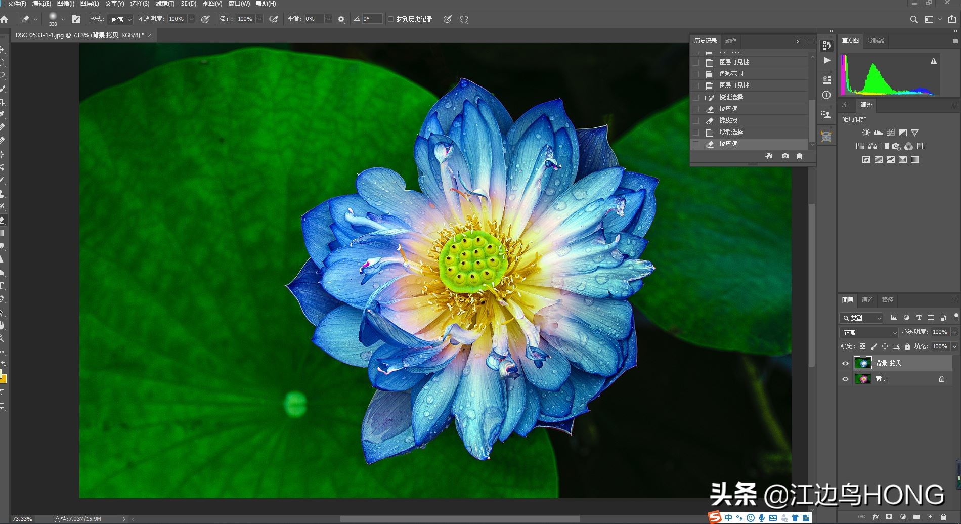 蓝莲花有第二季吗,蓝莲花怎么没有完整版