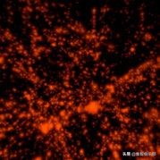 小小黏菌，大大聪颖：预测星系间暗物质网络的黏菌算法
