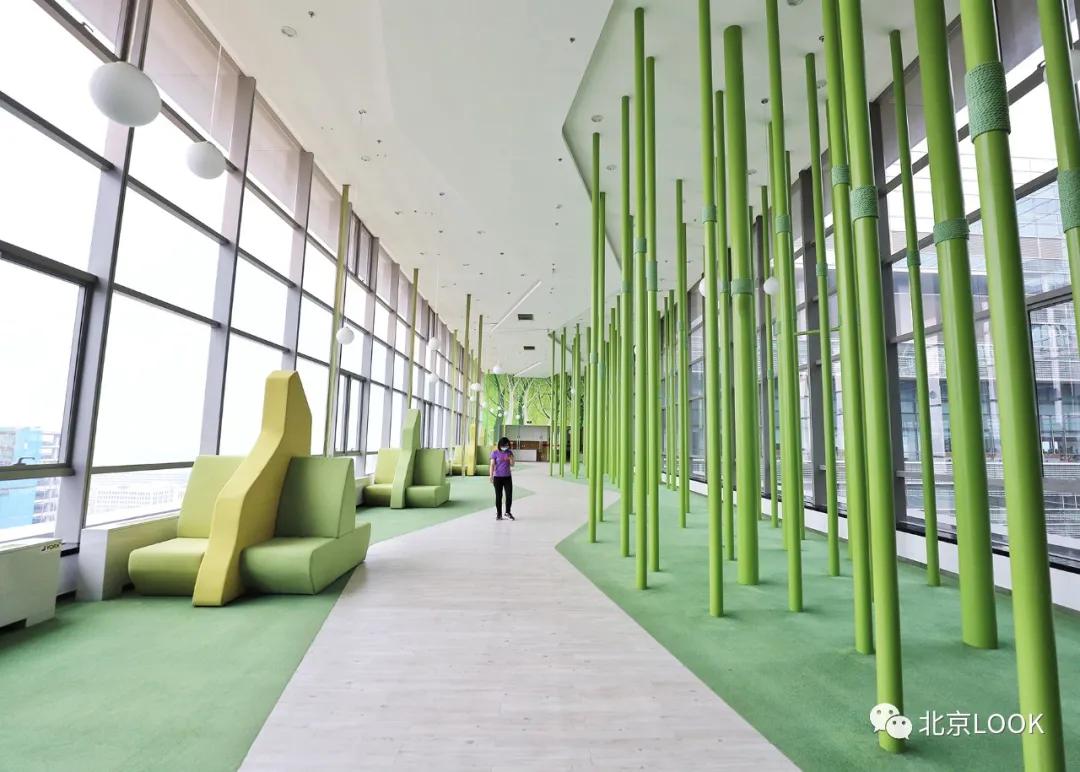 别人家的公司还招人,别人家的公司还招人吗