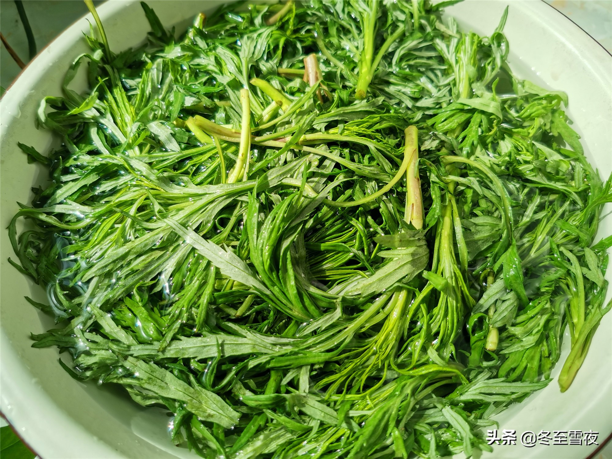 柳蒿芽鸡蛋怎么做好吃,柳蒿芽可以和鸡蛋一起吃吗