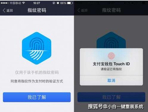支付宝支付密码忘了怎么办苹果,支付宝支付密码忘了怎么办视频