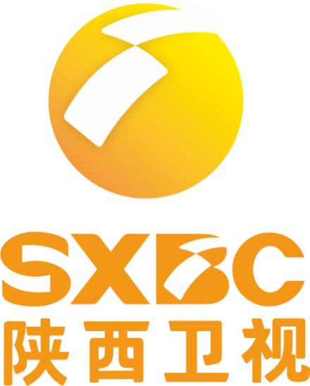 网络时代电视剧的发展历程,电视剧的出现的意义