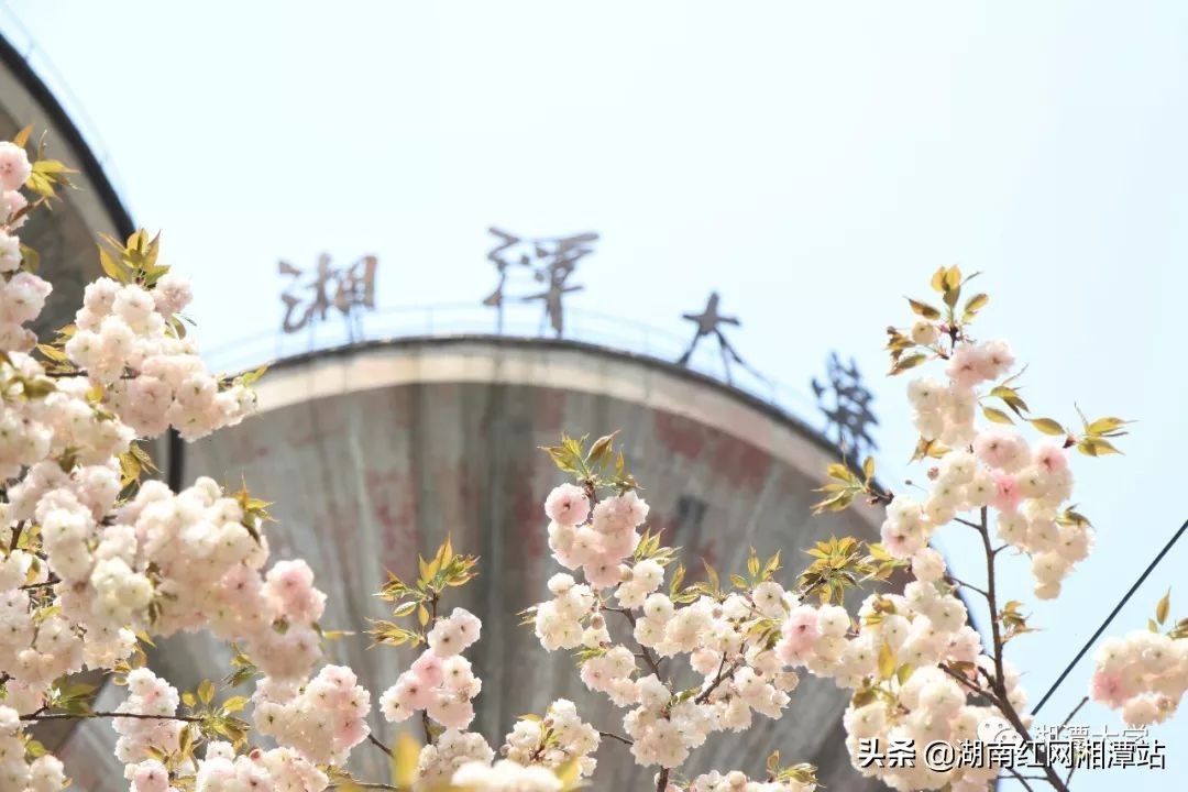 湘潭大学校史图片,广东湘大校友庆祝湘潭大学双一流