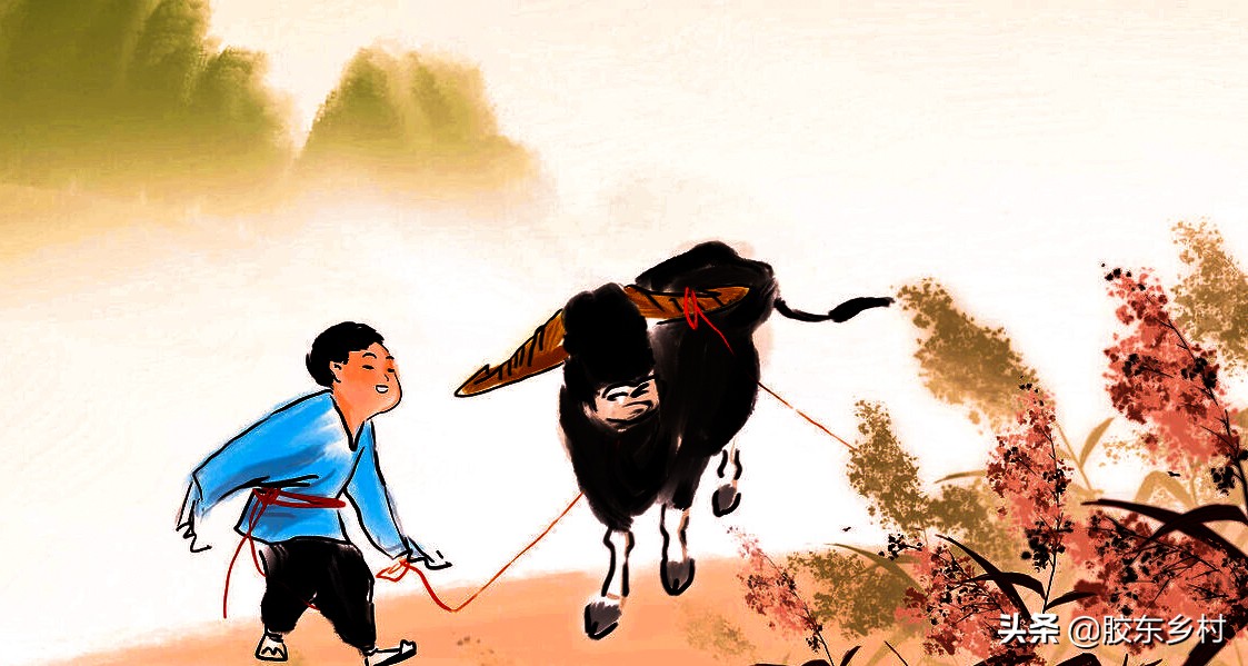 牛年本命年怎么破,牛年本命年是否意味什么都不要做