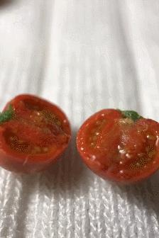 90后母亲被骗,90后妈妈因造假走红