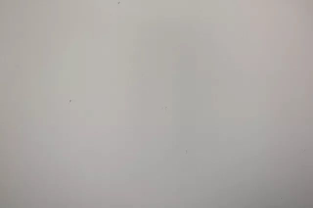 尼康z50最大光圈,尼康z501.8深度评测