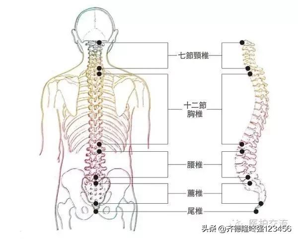 腰痛宁胶囊治腰间盘突出效果怎样,腰间盘突出压迫腿疼正确锻炼视频