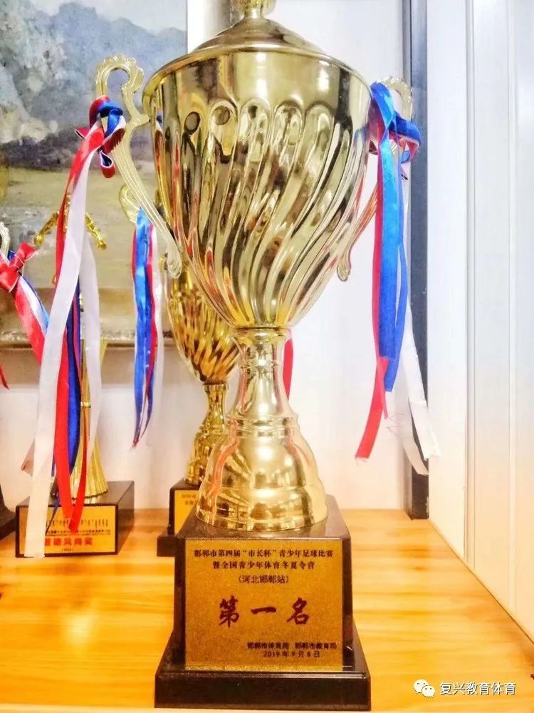 邯郸市复兴百花小学,邯郸市复兴区百花小学2018足球