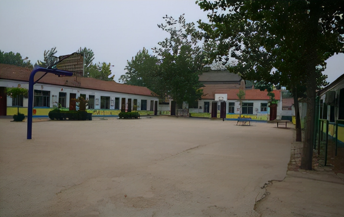 11年前，浙江农村奶奶收养了一个黑人小孩巴比，后来他怎么样了？