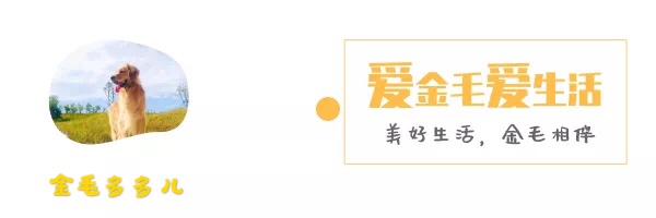 怎么训练狗狗出门一叫就回来,怎样训练狗狗一喊就过来