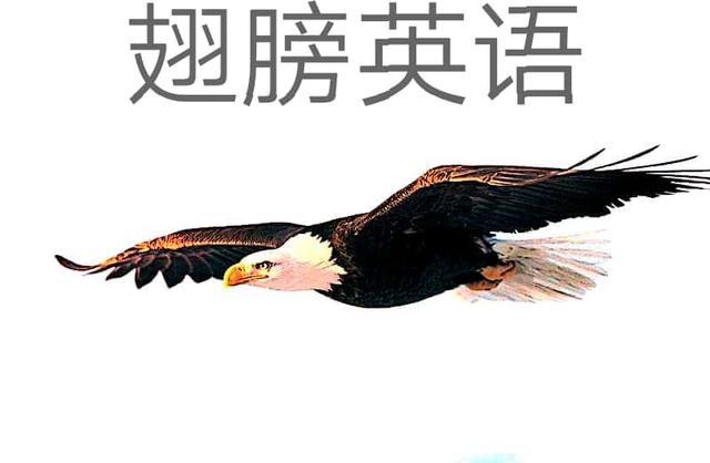 人教版初三英语第一单元语法,人教版初三英语语法全套视频讲解