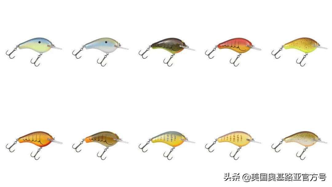 2024全国渔具展会一览表最新,2022年全国渔具展在哪