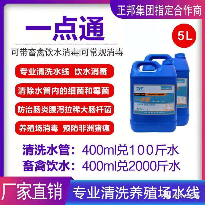 2019年1月24号全国鸭蛋价格,2022年4月12日鸭蛋价