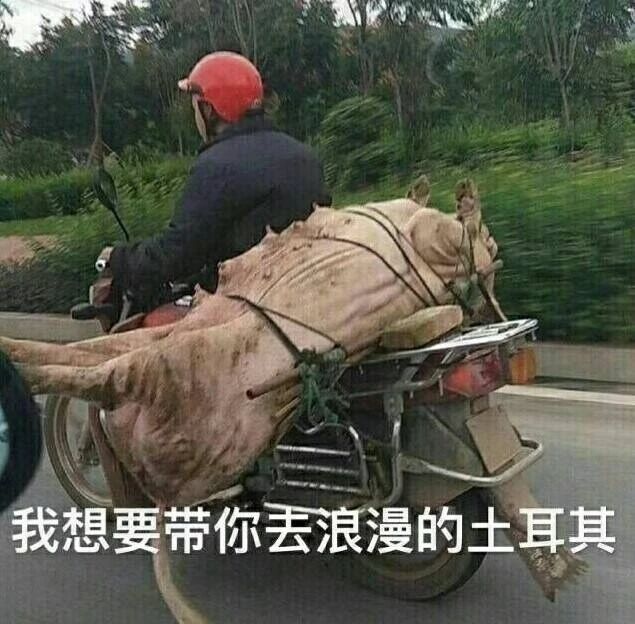 驼峰储水？童话里都是骗人的