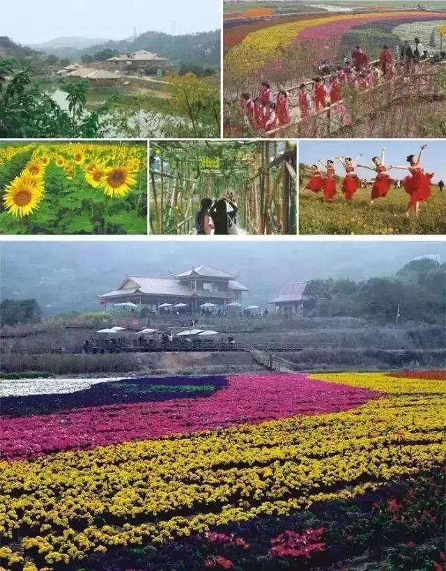 汕头揭阳旅游必去十大景点,汕头饶平旅游景点推荐自驾游