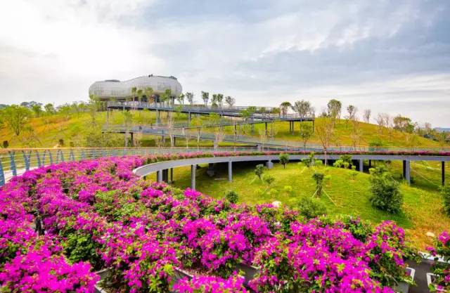 深圳北站中心公园现状,深圳北站中心公园风景