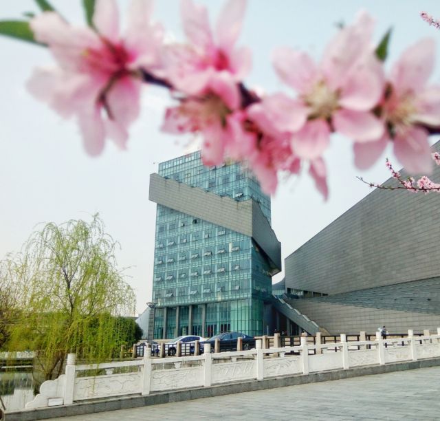 这7位女司长、航母女军官、女秘书长，都毕业于江苏这所双一流高校！