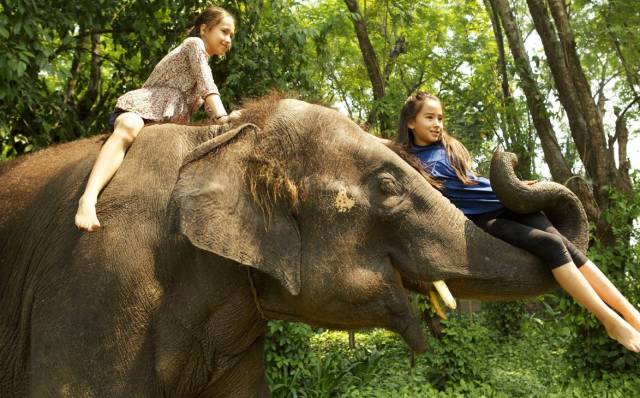 29岁不当记者，追随德国老公守护雨林，两女儿宛如天使，可不上学