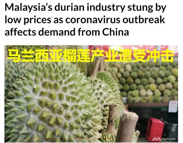 龙虾不吃东西,龙虾没人吃