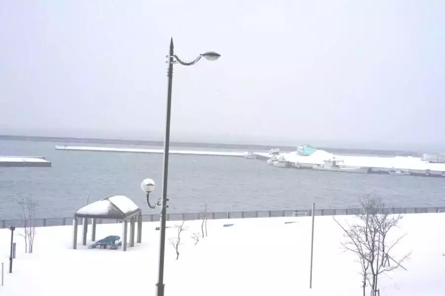 中国雪乡vs日本北海道雪景,日本北海道和东部雪乡哪个好