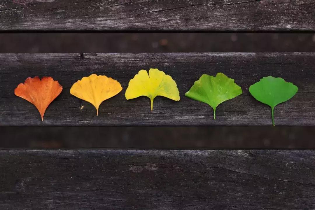今日立秋应景诵读古诗一首,今日立秋诗词里的秋天