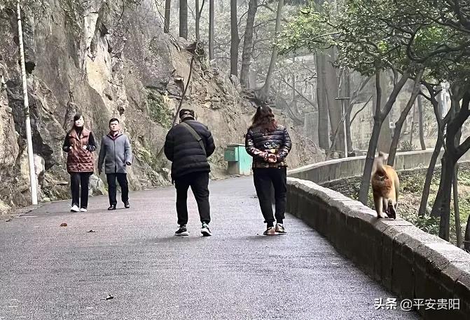 越来越嚣张了怎么办,越来越嚣张怎么解决