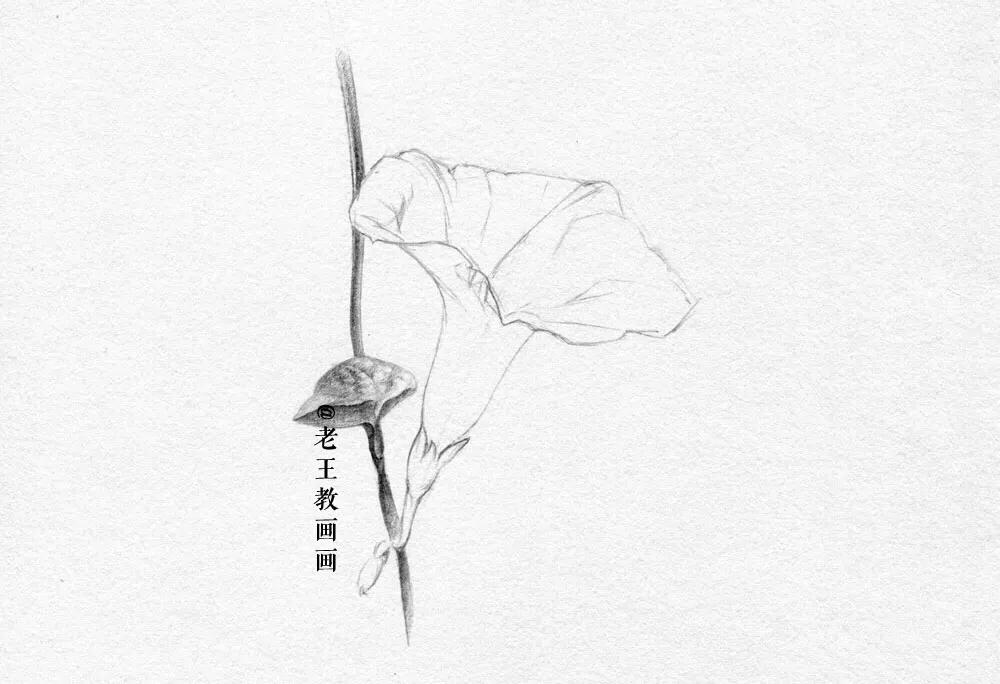 小白学习素描需要准备什么,小白学素描入门教程