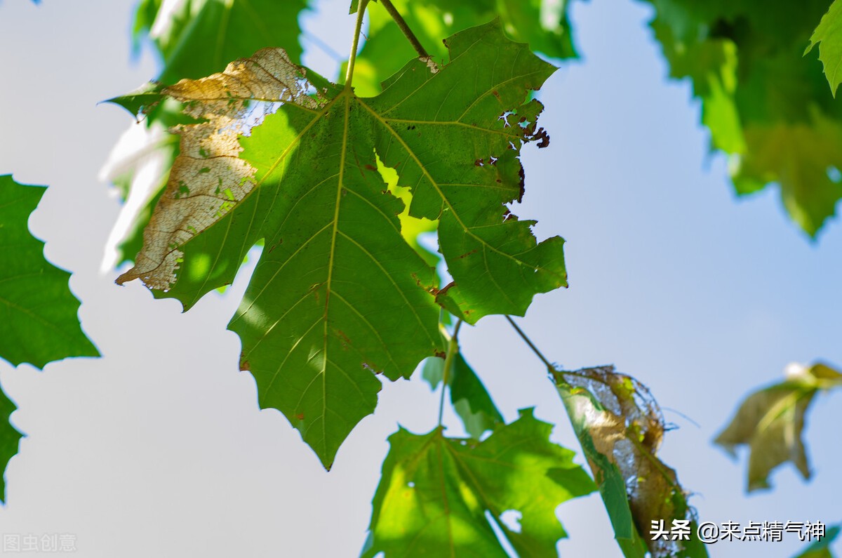 水漏了一屋子怎么处理,水刚漏了怎么补
