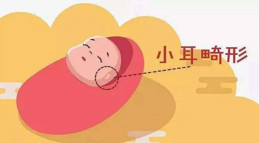 孩子六岁了父母应该关注哪些,小耳畸形的孩子要生吗