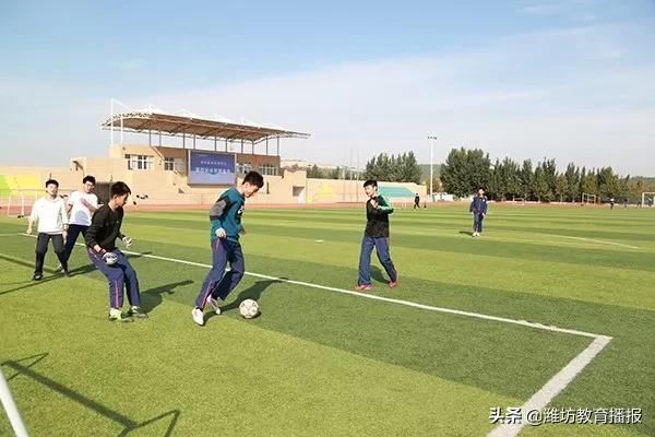 潍坊美加实验学校,潍坊美加实验学校研学