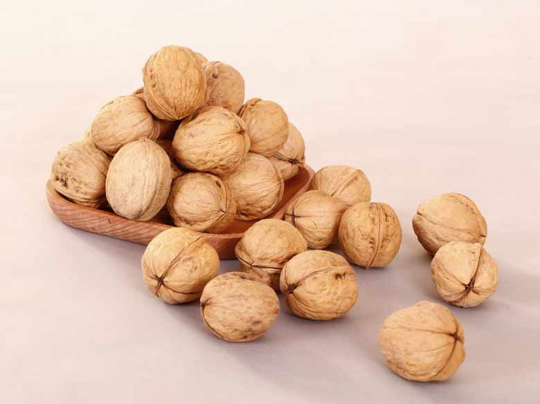 四川广元朝天核桃基地,四川朝天核桃文化节