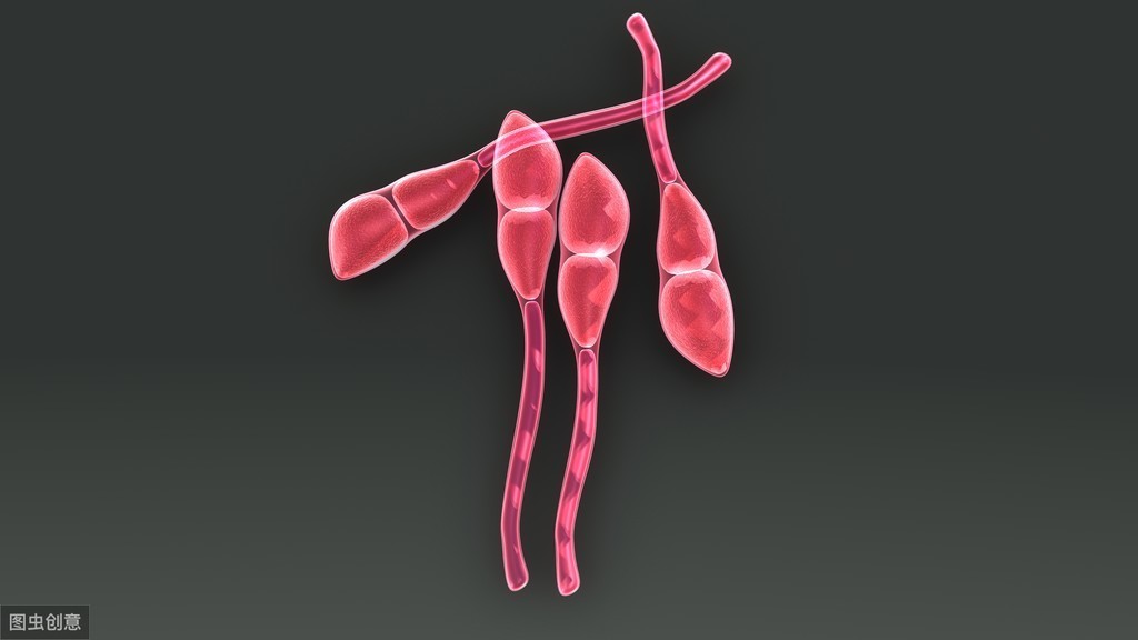 小麦锈病可导小麦作物损失高达100％，农户们都需要关注