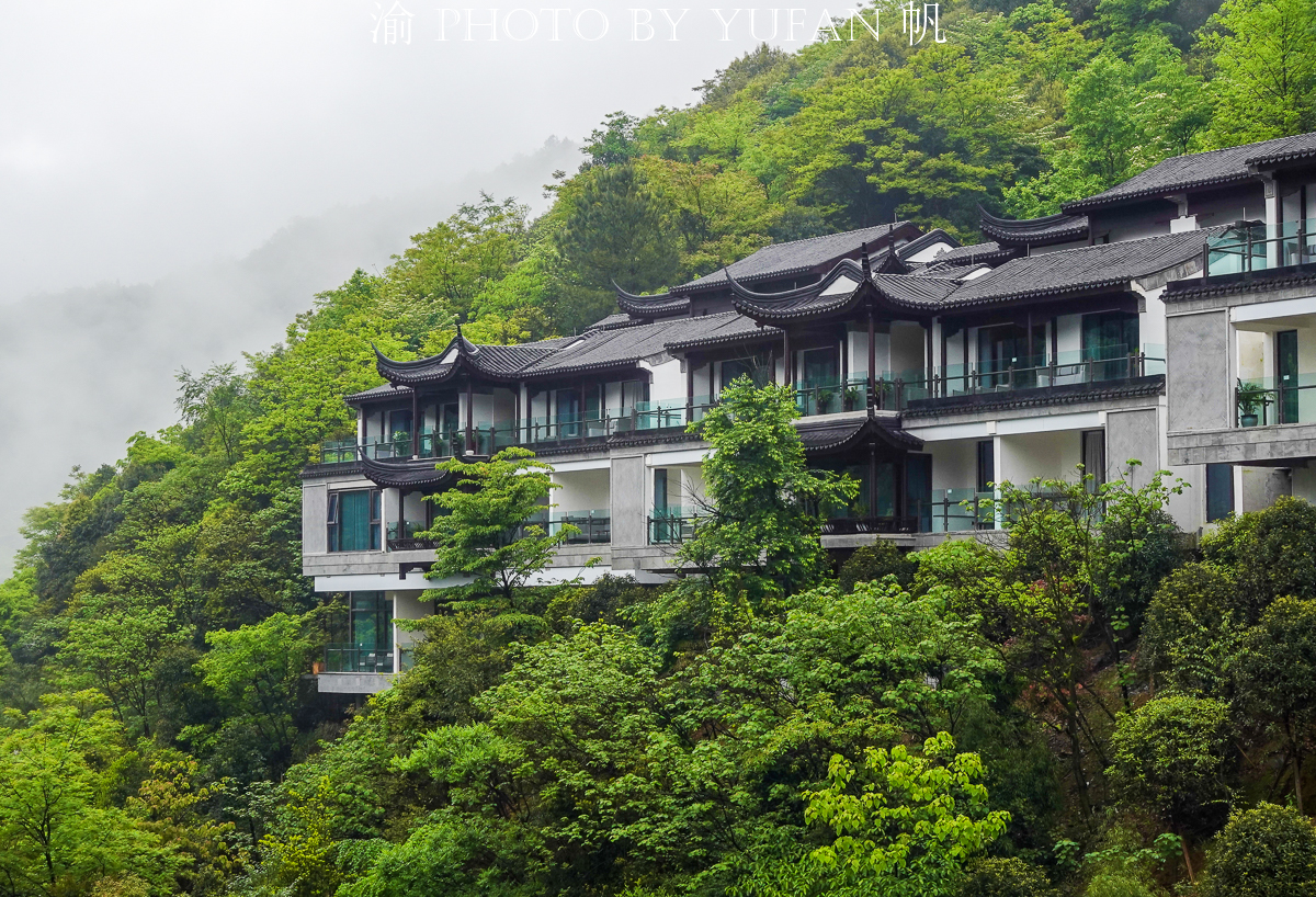 金佛山环山自驾,五一去金佛山最佳路线