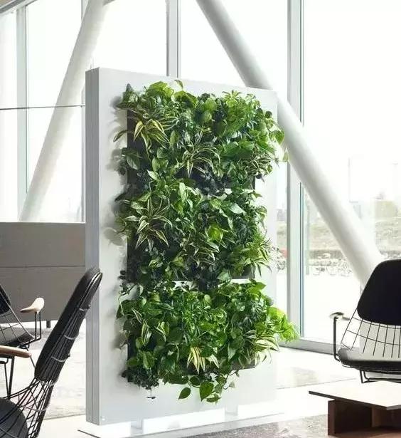 植物屏风隔断效果图,小型屏风