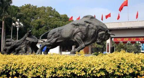 深圳制造畅销全球,深圳制造行业工作