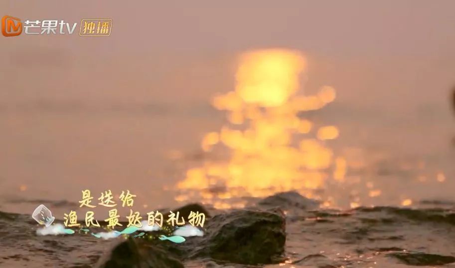 《哈哈农夫》西岛站：王源、杨超越、贾乃亮、金瀚说出明星的烦恼