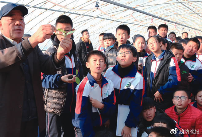 昌乐县义务教育发展过程,潍坊昌乐素质拓展基地