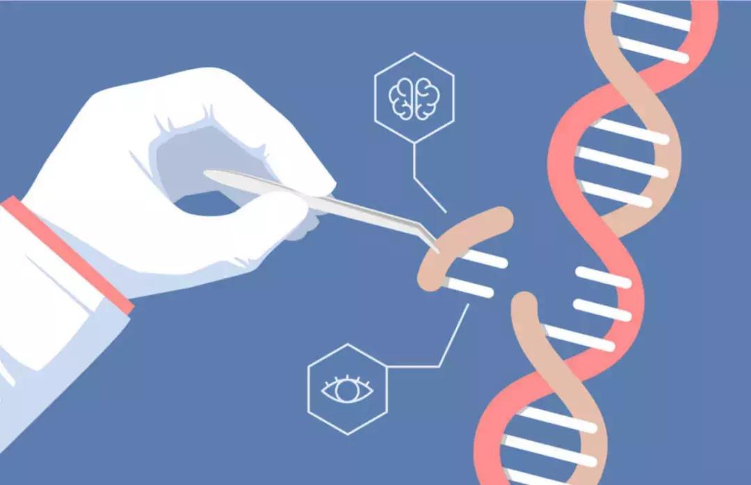 kcnt1基因突变导致的癫痫怎么治疗,癫痫基因scn1a突变