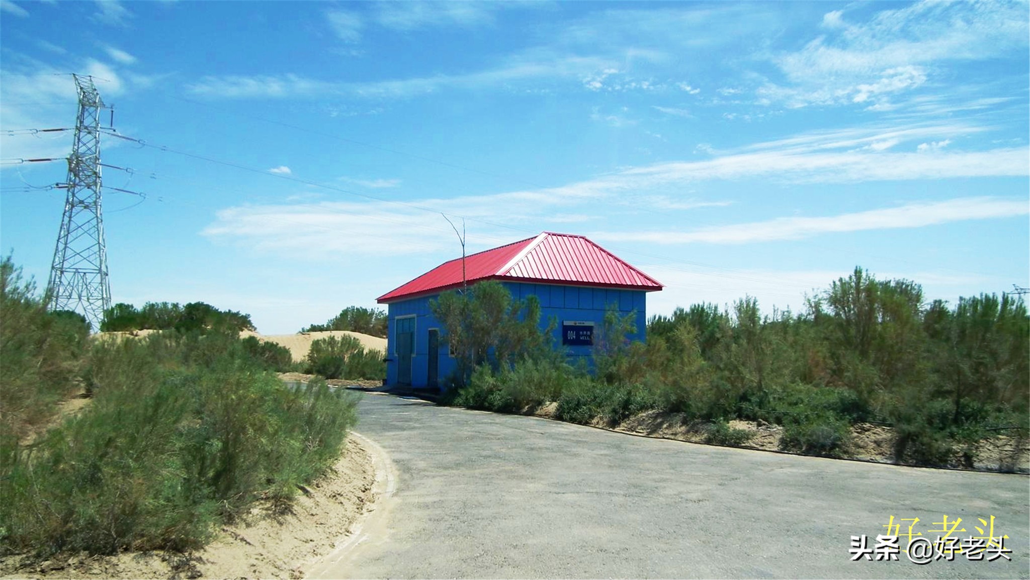 库尔勒轮台胡杨林风景区,胡杨林景区轮台