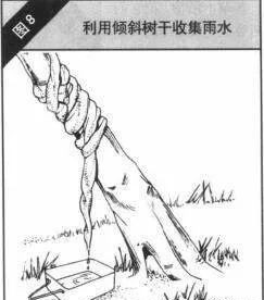 生存小技巧钻木取火,荒野生存取水技巧