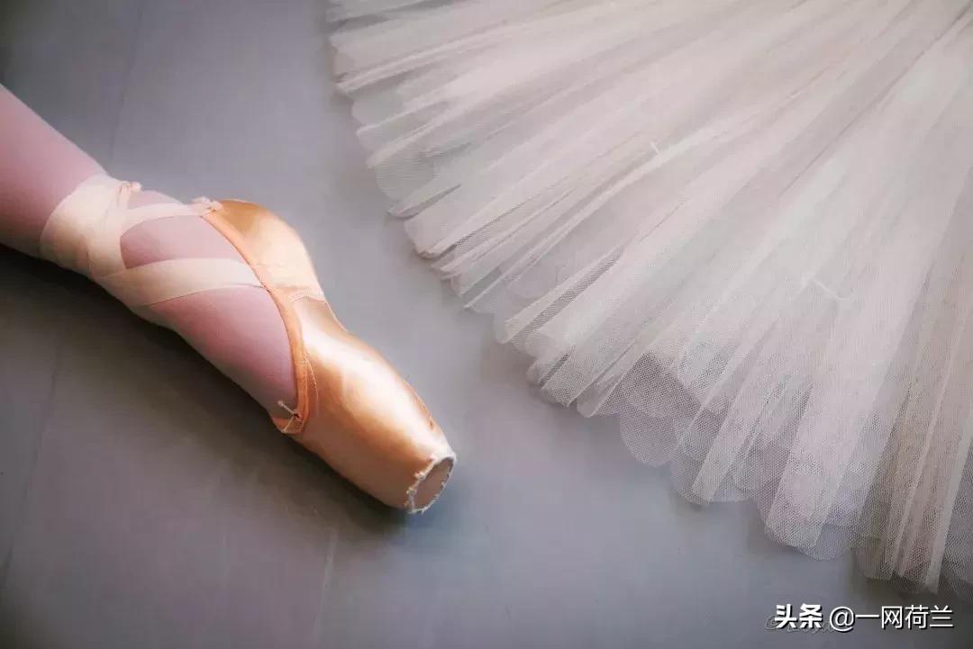 芭蕾舞艺人张媛媛个人资料,荷兰国家芭蕾舞团张媛媛