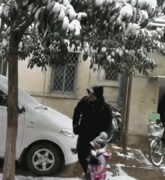 父母三观不正孩子却很正,父母三观不正孩子最终走向歪路