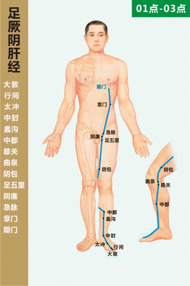 零基础学习中医按摩,零基础学中医按摩