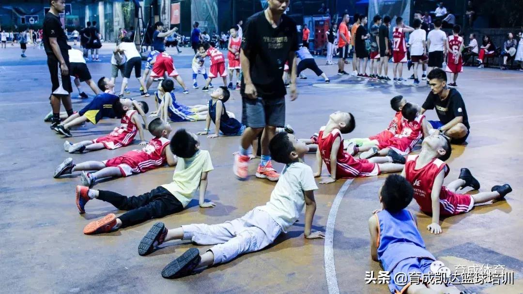 打篮球前准备事项,育成鸡关注事项