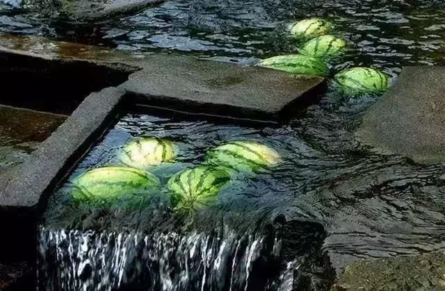 这一整个夏天我都不开空调，你敢信？