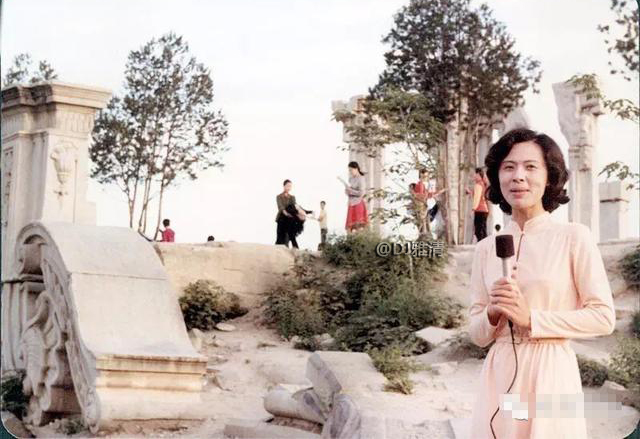 历年央视主持人照片,八十年代央视主持人名单