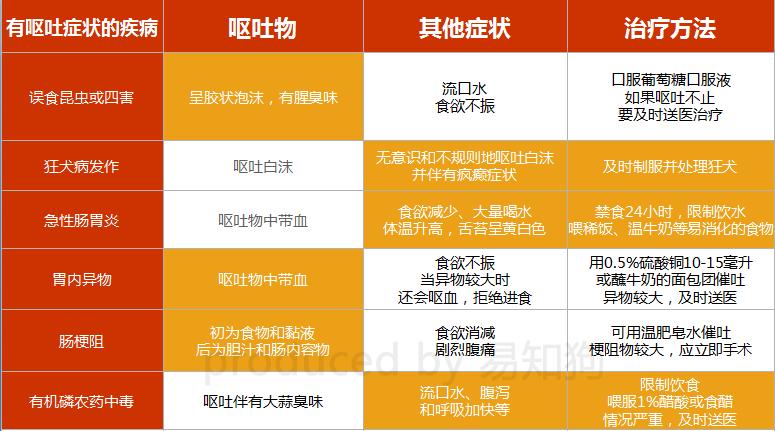 居家狗狗生活训练,日常护理狗狗皮肤不瘙痒