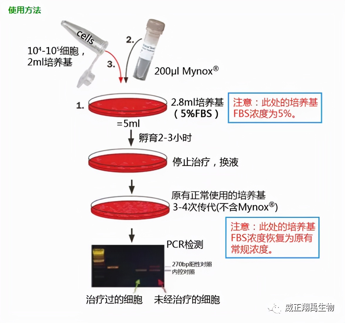 支原体污染怎么处理,支原体污染