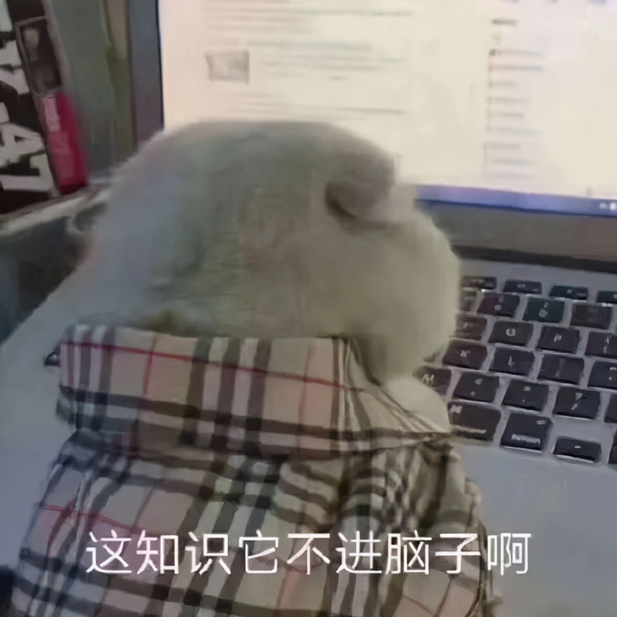 赌博就赌博，说盲盒是潮玩就没意思了