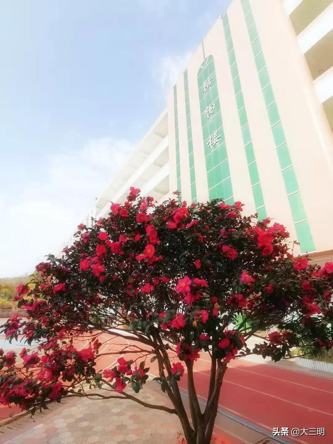 十二时辰之美叫法,长安十二时辰的美